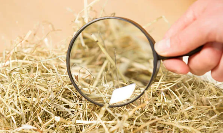 Other Ways to Say Needle in a Haystack