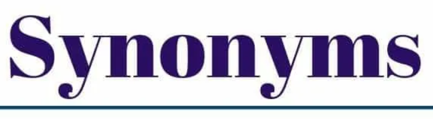 Provided Synonym for Resume: Best Alternatives for a Stronger Impression