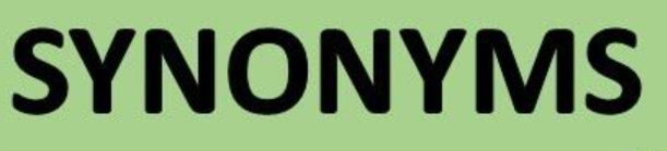 Formal Synonyms for "On the Flip Side"