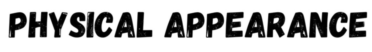 Physical Appearance Synonyms