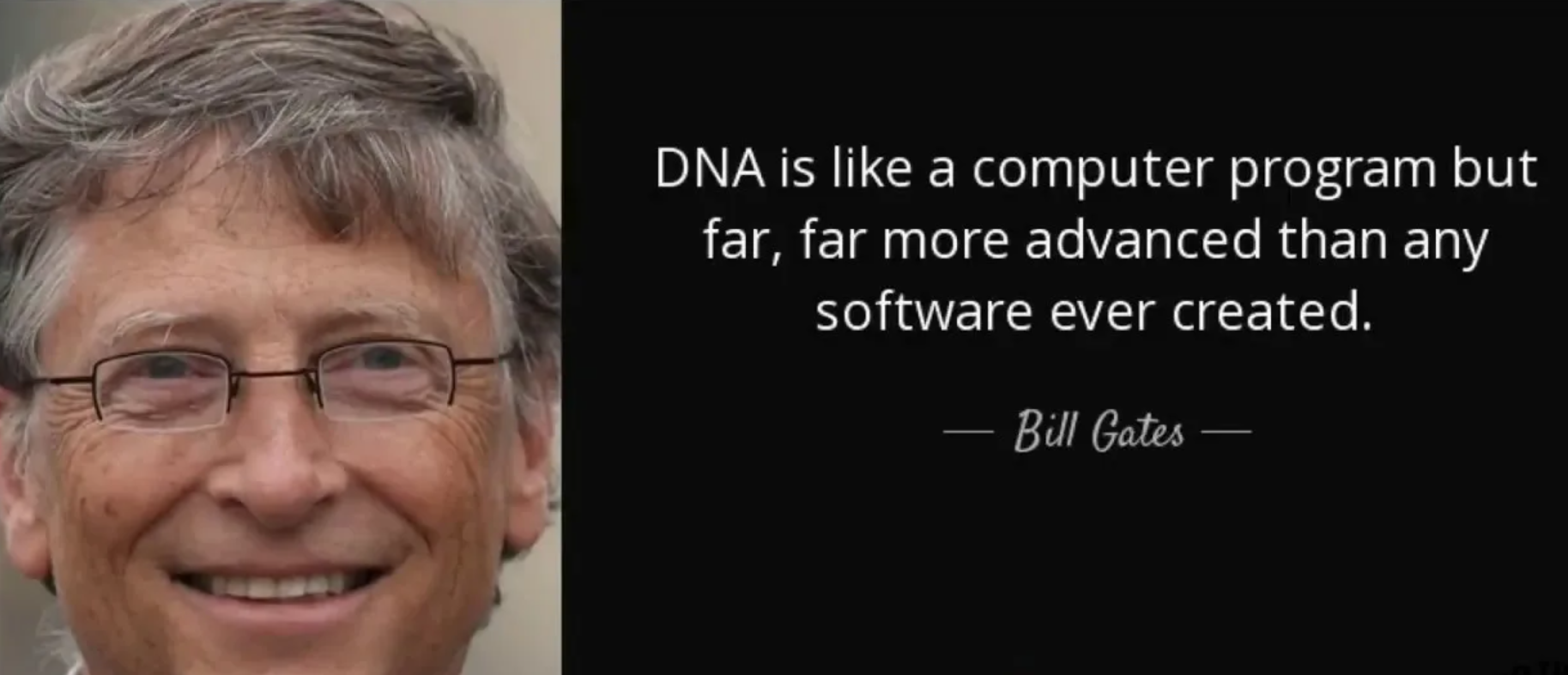 What Do You Call a Person Who Appreciates Art?